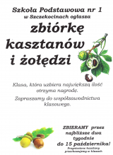 News zdjęcie id 368